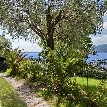 Andy-appartamento Con Vista * Torri Del Benaco